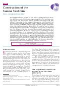 Cover page: Construction of the human forebrain