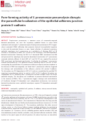 Cover page: Pore-forming activity of S. pneumoniae pneumolysin disrupts the paracellular localization of the epithelial adherens junction protein E-cadherin