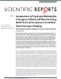 Cover page: Assessment of Lipid and Metabolite Changes in Obese Calf Muscle Using Multi-Echo Echo-planar Correlated Spectroscopic Imaging