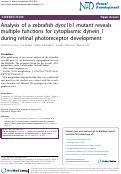 Cover page: Correction: Analysis of a zebrafish dync1h1 mutant reveals multiple functions for cytoplasmic dynein 1 during retinal photoreceptor development