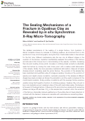 Cover page: The Sealing Mechanisms of a Fracture in Opalinus Clay as Revealed by in situ Synchrotron X-Ray Micro-Tomography