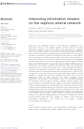 Cover page: Interacting information streams on the nephron arterial network.