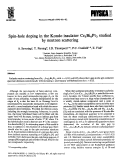 Cover page: Spin-hole doping in the Kondo insulator Ce3Bi4Pt3 studied by neutron scattering