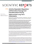 Cover page: Activity-Dependent Regulation of Alternative Cleavage and Polyadenylation During Hippocampal Long-Term Potentiation.