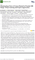 Cover page: Illuminating Clues of Cancer Buried in Prostate MR Image: Deep Learning and Expert Approaches.