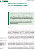 Cover page: ANT2 drives proinflammatory macrophage activation in obesity