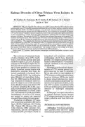 Cover page: Epitope Diversity of Citrus Tristeza Virus Isolates in Spain