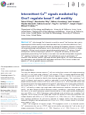 Cover page: Intermittent Ca<sup>2+</sup>signals mediated by Orai1 regulate basal T cell motility.