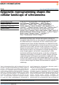 Cover page: Epigenetic reprogramming shapes the cellular landscape of schwannoma.