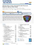 Cover page of Molecular Spies in Action: Genetically Encoded Fluorescent Biosensors Light up Cellular Signals