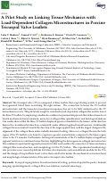 Cover page: A Pilot Study on Linking Tissue Mechanics with Load-Dependent Collagen Microstructures in Porcine Tricuspid Valve Leaflets.