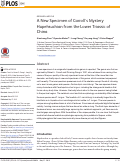 Cover page: A New Specimen of Carroll’s Mystery Hupehsuchian from the Lower Triassic of China