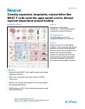 Cover page: Clonally expanded, targetable, natural killer-like NKG7 T&nbsp;cells seed the aged spinal cord to disrupt myeloid-dependent wound healing