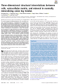 Cover page: Three-dimensional structural interrelations between cells, extracellular matrix, and mineral in normally mineralizing avian leg tendon