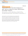 Cover page: Transcriptome and chromatin landscape of iNKT cells are shaped by subset differentiation and antigen exposure.