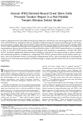 Cover page: Human iPSC-Derived Neural Crest Stem Cells Promote Tendon Repair in a Rat Patellar Tendon Window Defect Model