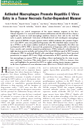 Cover page: Activated macrophages promote hepatitis C virus entry in a tumor necrosis factor‐dependent manner