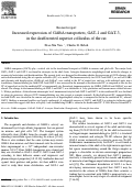 Cover page: Increased expression of GABA transporters, GAT-1 and GAT-3, in the deafferented superior colliculus of the rat