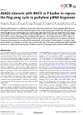 Cover page: ADAD2 interacts with RNF17 in P-bodies to repress the Ping-pong cycle in pachytene piRNA biogenesis