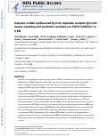 Cover page: Heparan Sulfate Synthesized by Ext1 Regulates Receptor Tyrosine Kinase Signaling and Promotes Resistance to EGFR Inhibitors in GBM