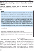 Cover page: BIN1 Localizes the L-Type Calcium Channel to Cardiac T-Tubules