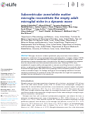 Cover page: Subventricular zone/white matter microglia reconstitute the empty adult microglial niche in a dynamic wave