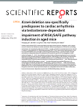 Cover page: Kcne4 deletion sex-specifically predisposes to cardiac arrhythmia via testosterone-dependent impairment of RISK/SAFE pathway induction in aged mice