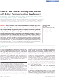 Cover page: Lamin B1 and lamin B2 are long-lived proteins with distinct functions in retinal development.