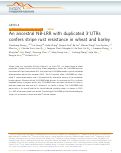 Cover page: An ancestral NB-LRR with duplicated 3'UTRs confers stripe rust resistance in wheat and barley.