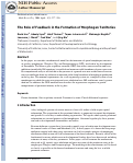 Cover page: The role of feedback in the formation of morphogen territories