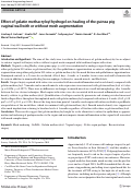 Cover page: Effect of gelatin methacryloyl hydrogel on healing of the guinea pig vaginal wall with or without mesh augmentation