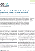 Cover page: From Pine Cones to Read Clouds: Rescaffolding the Megagenome of Sugar Pine (Pinus lambertiana)