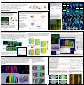 Cover page: Virtual embryos as tools for 3d gene expression analyses: