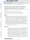 Cover page: Electrophysiological Endophenotypes for Schizophrenia