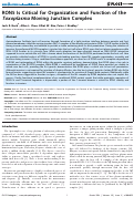 Cover page: RON5 is critical for organization and function of the Toxoplasma moving junction complex.