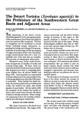 Cover page: The Desert Tortoise (<em>Xerobates agassizii</em>) in the Prehistory of the Southwestern Great Basin and Adjacent Areas