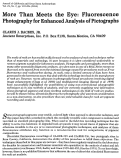 Cover page: More Than Meets the Eye: Fluorescence Photography for Enhanced Analysis of Pictographs