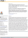 Cover page: Tissue engineering potential of human dermis-isolated adult stem cells from multiple anatomical locations