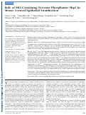 Cover page: Role of SH2-containing tyrosine phosphatase Shp2 in mouse corneal epithelial stratification.