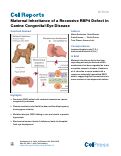 Cover page: Maternal Inheritance of a Recessive RBP4 Defect in Canine Congenital Eye Disease