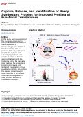 Cover page: Capture, Release, and Identification of Newly Synthesized Proteins for Improved Profiling of Functional Translatomes