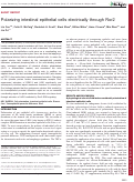 Cover page: Polarizing intestinal epithelial cells electrically through Ror2