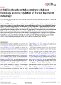 Cover page: A RAB7A phosphoswitch coordinates Rubicon Homology protein regulation of Parkin-dependent mitophagy.