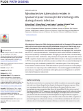 Cover page: Mycobacterium tuberculosis resides in lysosome-poor monocyte-derived lung cells during chronic infection.