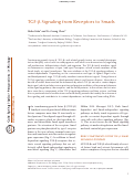 Cover page: TGF-β Signaling from Receptors to Smads