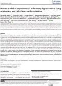 Cover page: Mouse model of experimental pulmonary hypertension: Lung angiogram and right heart catheterization.