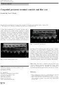 Cover page: Congenital persistent terminal ventricle and filar cyst