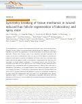 Cover page: Symmetry breaking of tissue mechanics in wound induced hair follicle regeneration of laboratory and spiny mice