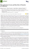 Cover page: Macrophomina Crown and Root Rot of Pistachio in California