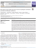 Cover page: RNA analysis of the GALNS transcript reveals novel pathogenic mechanisms associated with Morquio syndrome A